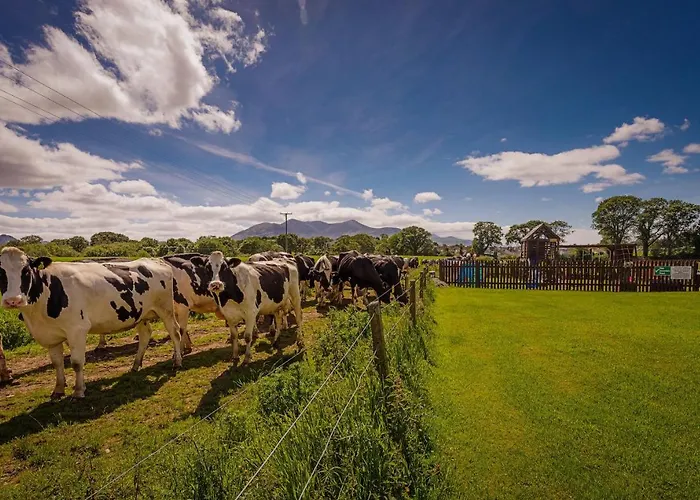 Rookery Mews - Self Catering Daire